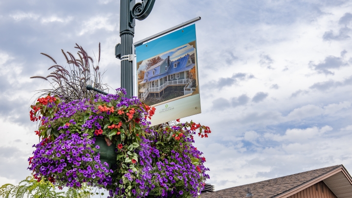 Exposition photos en plein air : l'histoire en image