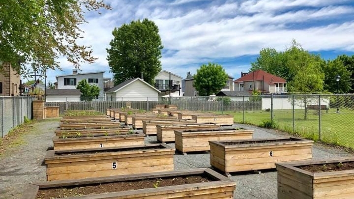 Bacs de jardinage disponibles au parc Olivar-Gravel