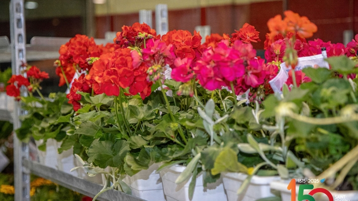 Retour sur la distribution des fleurs et du terreau et journée horticole