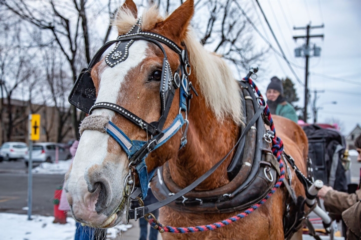 Féerie des lumières (25 et 26 mars 2022)