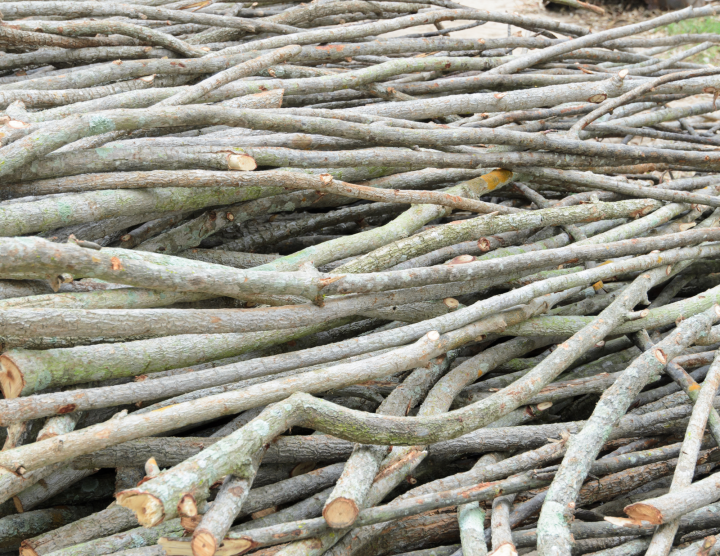 Collecte spéciale de branches et site de dépôt temporaire