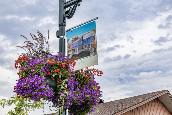 Exposition photos en plein air : l'histoire en image