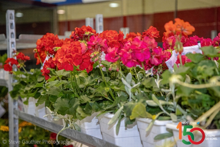 Retour sur la distribution des fleurs et du terreau et journée horticole
